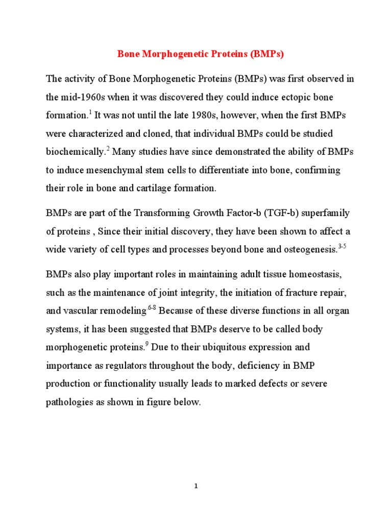 Bone Morphogenetic Proteins - Summary | PDF | Biology | Reproduction