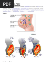Eritroblastose Fetal
