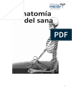 Anatomía Del Asana