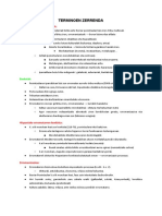 Historia Termino Apunteak