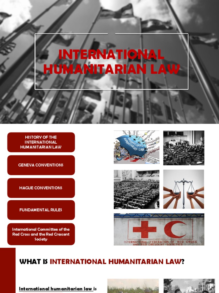INTERNATIONAL HUMANITARIAN LAW PDF 2022 visual data 8