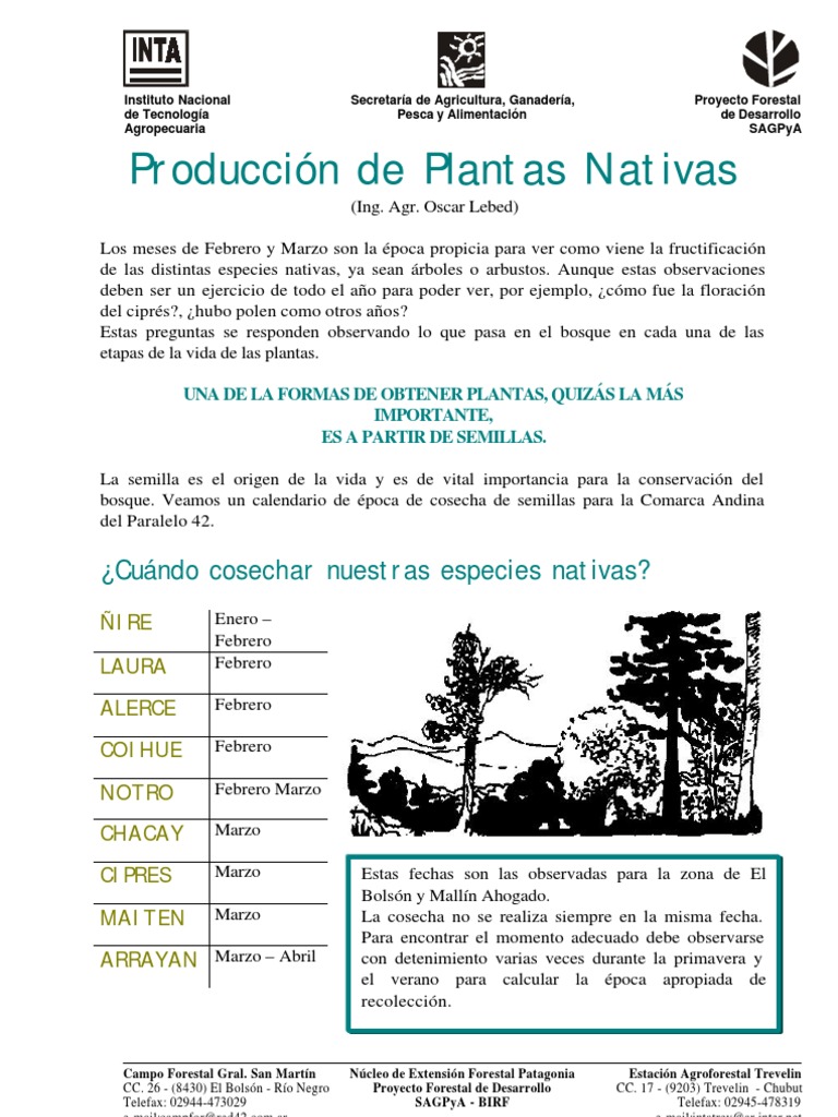 Producción y Siembra de Plantas Nativas | PDF | Siembra | Pajote