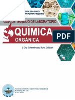 Guia de Labo .QUIMICA - ORGANICA