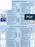 S. Simpático y Parasimpático