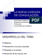 casacadadecoagulacionfinal2003-100203194423-phpapp02