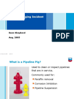 Pipeline Pigging Incident: Dave Shepherd Aug, 2005