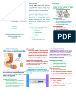 BANI-Leaflet Terapi P Ginjal