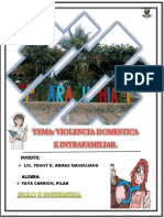 Violencia Domestica e Intrafamiliar