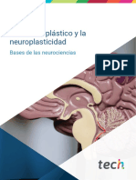 Neuropsicología Profesional I El Cerebro Plástico y La Neuroplasticidad