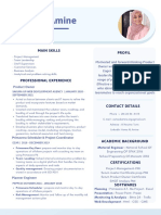 Product Owner Resume-Asma Al Amine