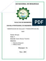 Observacion de Celulas y Transcripcion Del Adn