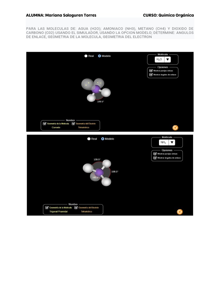 HIBRIDACI N PDF