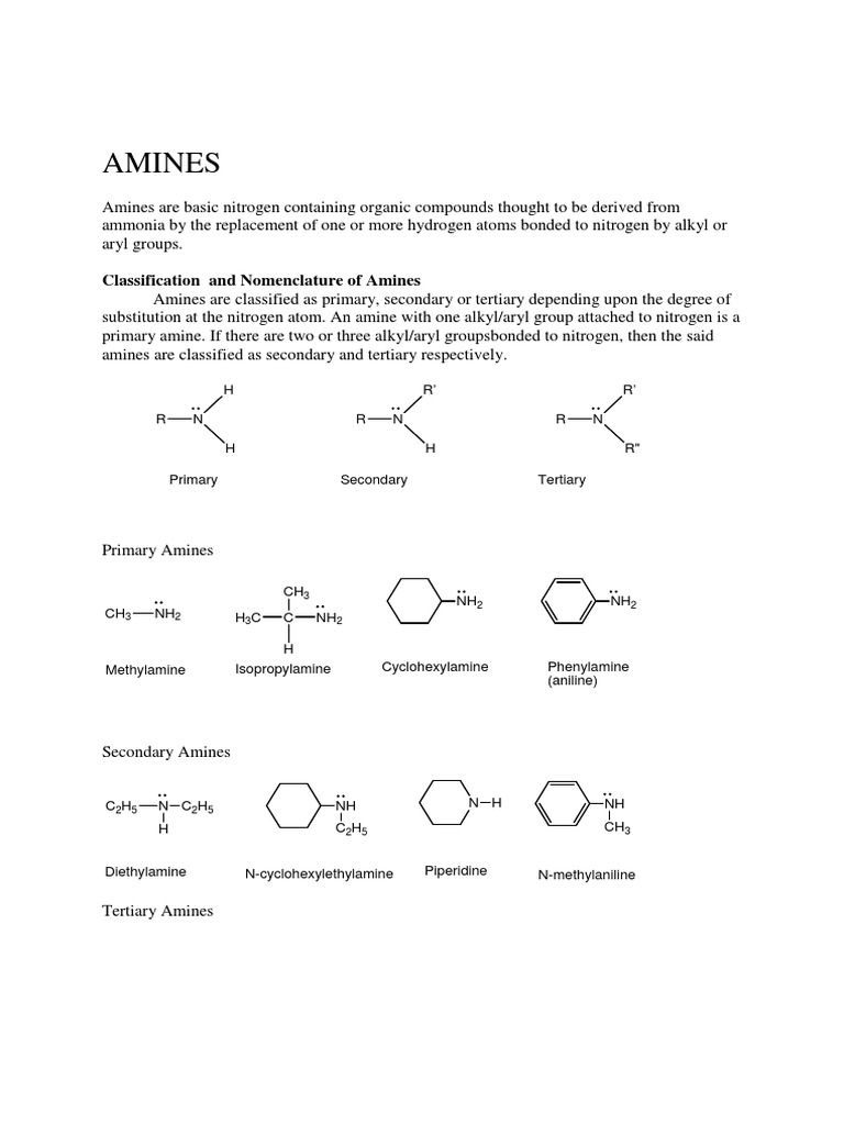 Nomenclature Of Amines: Preparation, Classification, Uses – WMZAAZ