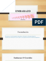 Embarazo