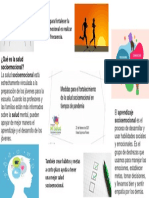 Infografia Salud Socioemocional