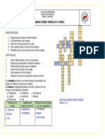 Actividad Reino Hongo o Fungi