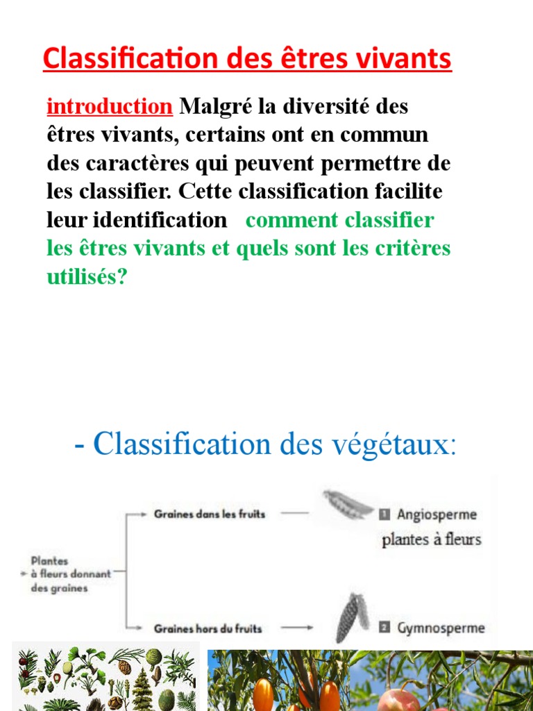 Classification des êtres vivants | PDF