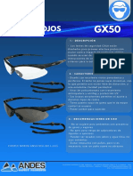044-06-FT-ANTEOJOS GX50