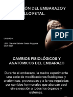 Adaptación Al Embarazo y Desarrollo Fetal