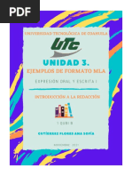 Ejemplos de Formatos en Mla