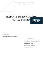 Raport de Evaluare Final