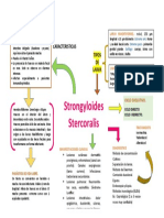 Strongyloides Stercoralis