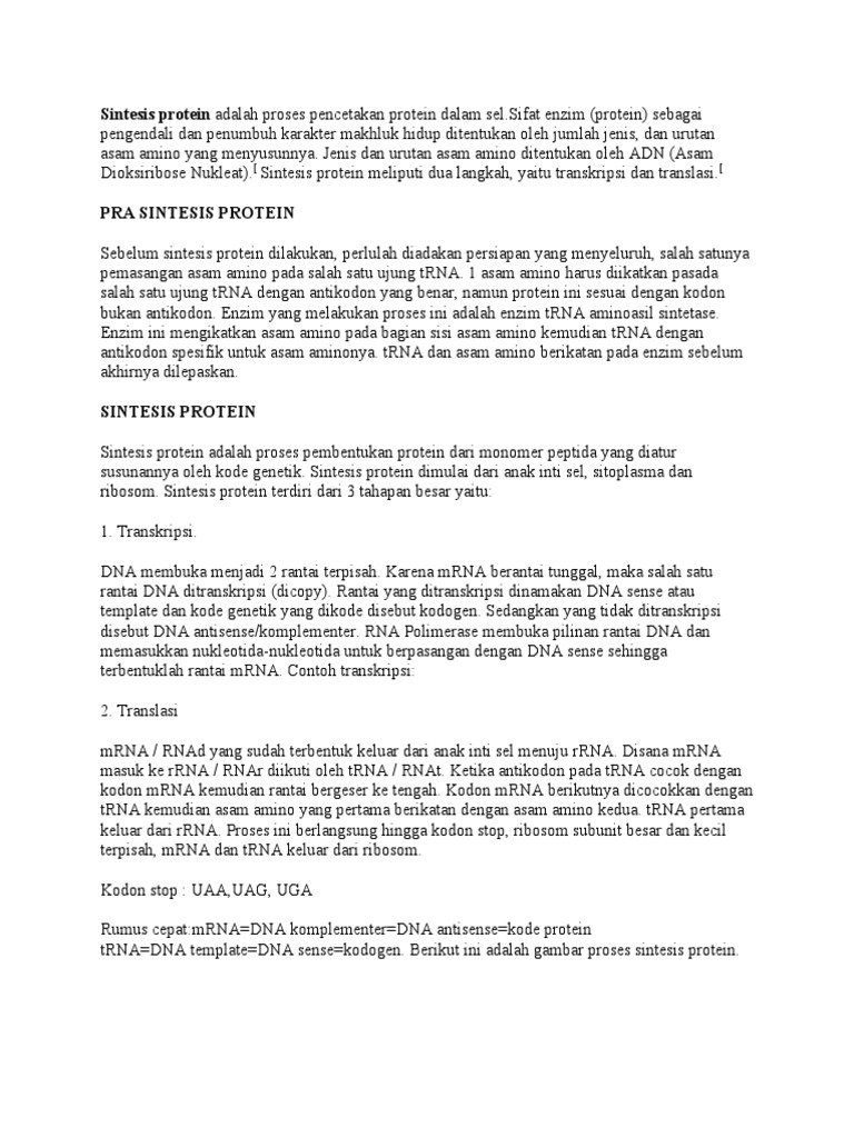 Proses Sintesis Protein | PDF