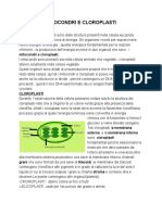 Mitocondri e Cloroplasti