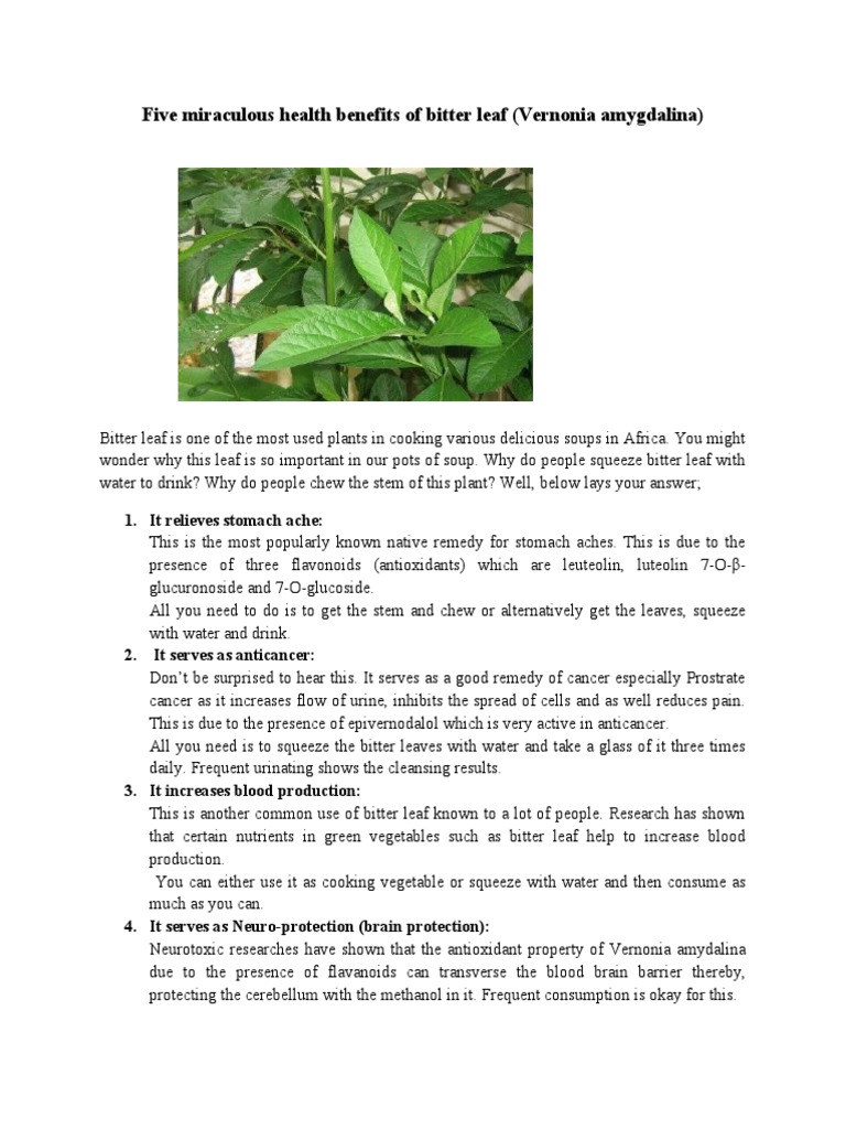 Health Benefits of Bitter Leaf | PDF