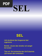 biologi-sel