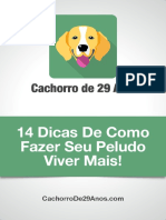 14 Dicas Pro Seu Cao Viver Mais