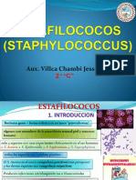 Tema 3 Estafilococos