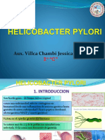 TEMA 8 Helicobacter Pylori