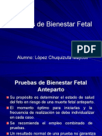 Pruebas de Bienestar Fetal