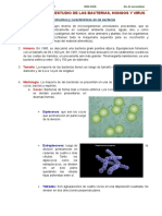 Microbiología - Estudio de Las Bacterias, Hongos y Virus (1) - 2