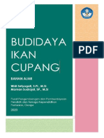 Budidaya Ikan Cupang