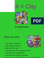 Cell City Ppt