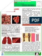 Cardiologia: Tromboembolismo Pulmonar