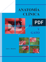 0725. Anatomía Clínica Del Perro y El Gato