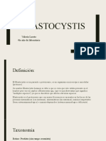 Blastocystis