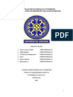 B6 - Menghitung Jumlah Eritrosit