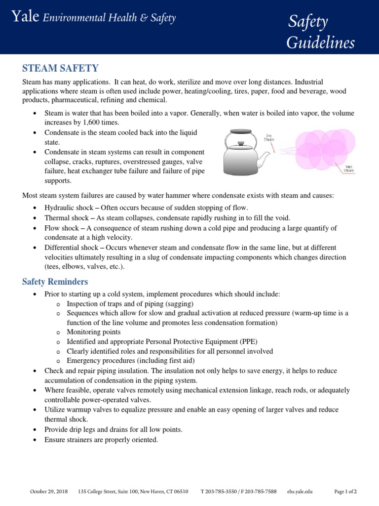 Steam Safety Guidelines and Best Practices | PDF | Steam | Thermal ...