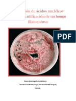 Informe Adn