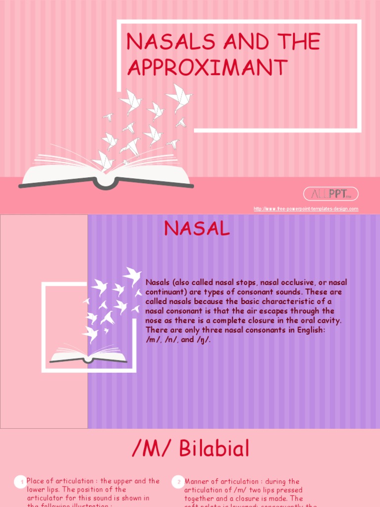 Nasal and Approximant PDF Human Communication