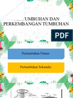 PERTUMBUHAN PRIMER TUMBUHAN