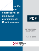 Perfil Económico Social 19 Municipios (1)