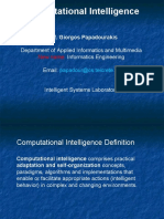Computational Intelligence: Prof. Giorgos Papadourakis