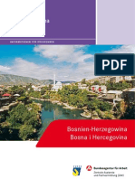 BiH MIE Rueckkehrer, TemplateId Raw, Property PublicationFile