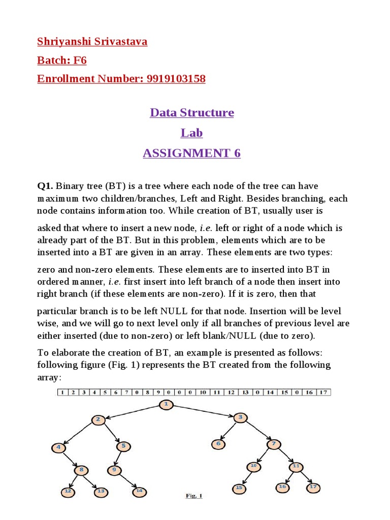 Binary Tree Operations by Shriyanshi | PDF | Theoretical Computer ...