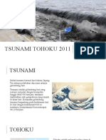 Tsunami Tochoku 2011